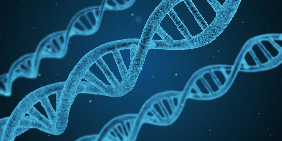 DNA検査(先天性疾患検査)の及ぼす影響は？？