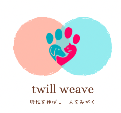㍿twill weave
